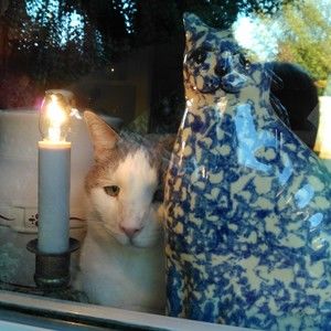 Meet your Posher, Posh